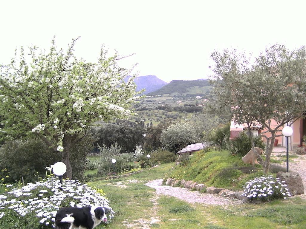 B&B Valli Verdi Alghero Exterior foto