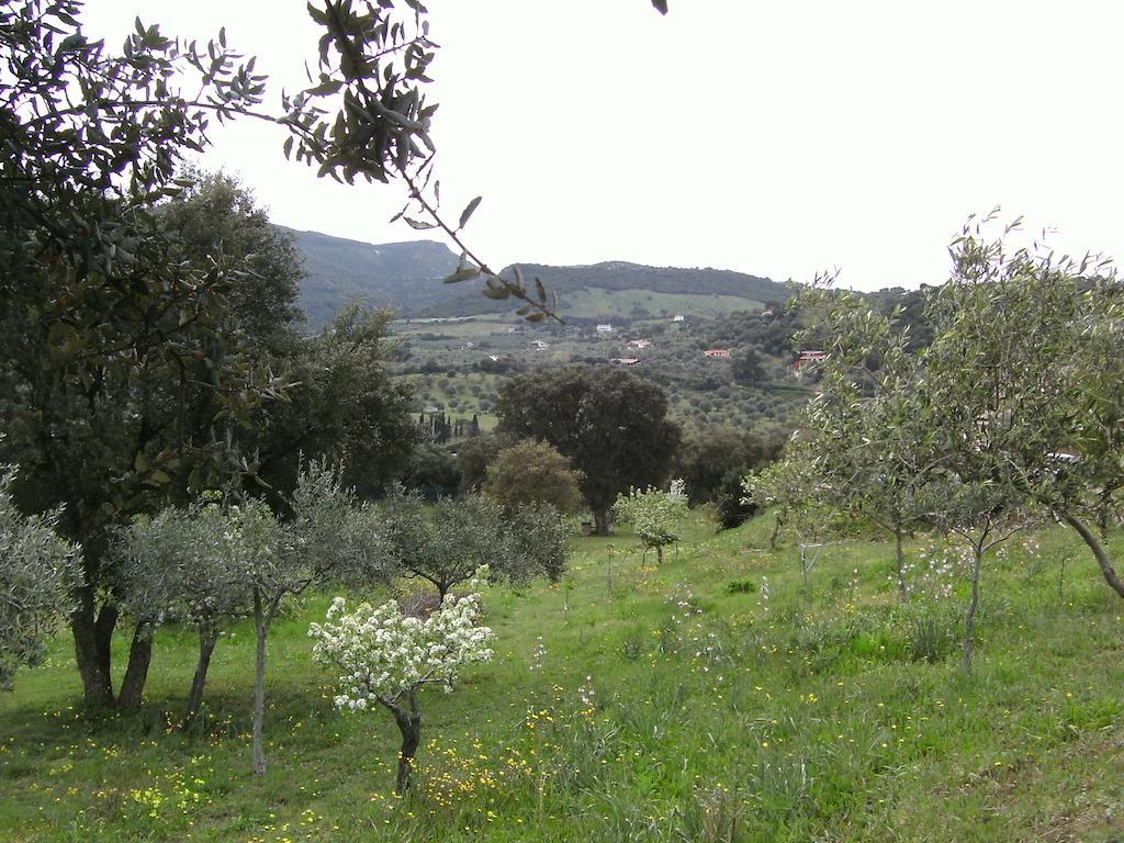 B&B Valli Verdi Alghero Exterior foto
